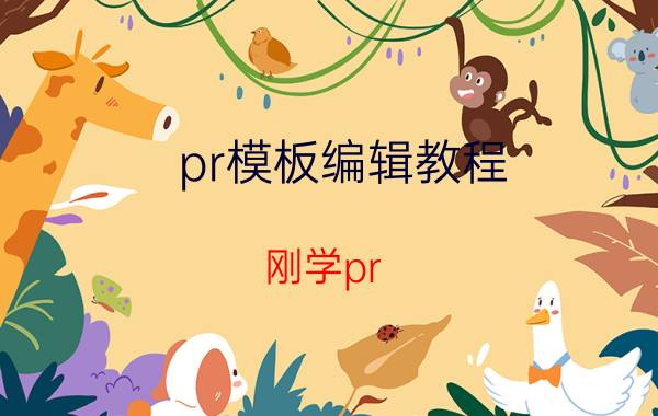 pr模板编辑教程 刚学pr，请问大神基本知识？